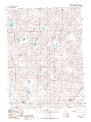 Gaunt Lake USGS topographic map 42102a2