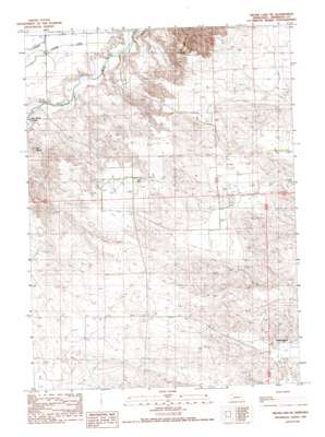 Skunk Lake Ne USGS topographic map 42102d5