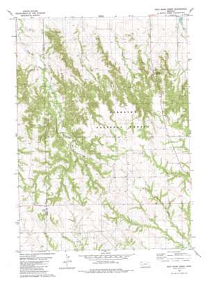 Dead Mans Creek USGS topographic map 42103e4