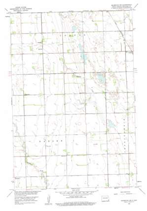 Mooreton Nw USGS topographic map 46096d8