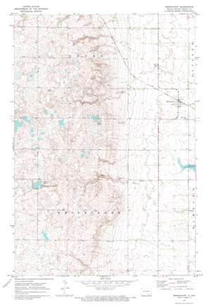 Merricourt USGS topographic map 46098b7