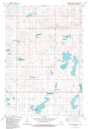 Ashley 4 Sw USGS topographic map 46099a2