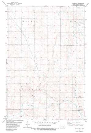 Burnstad USGS topographic map 46099d6