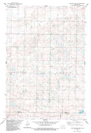 Alkaline Lake Nw USGS topographic map 46099f6