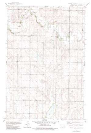 Senger Lake North USGS topographic map 46100b1