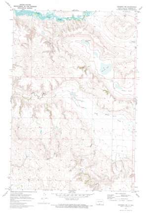 Grassna Nw USGS topographic map 46100b4