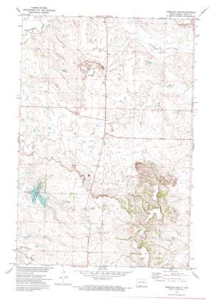 Froelich Dam USGS topographic map 46100b8