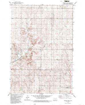 Rohrich Dam USGS topographic map 46100c1