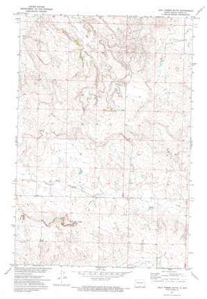 Half Timber Butte topo map