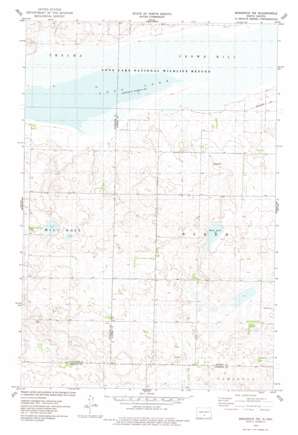 Braddock Ne USGS topographic map 46100f1