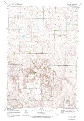 Moffit Nw topo map