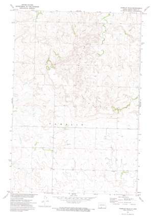Pamplin Hills USGS topographic map 46101a1