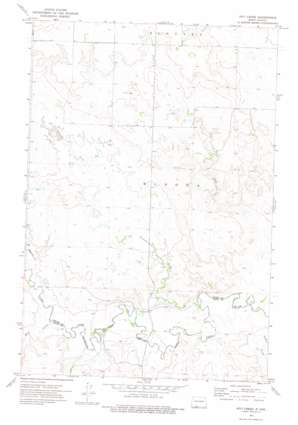 Pitt Creek USGS topographic map 46101a5