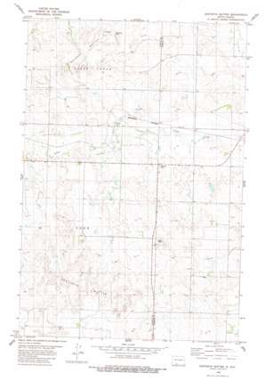 Dogtooth Buttes USGS topographic map 46101d3