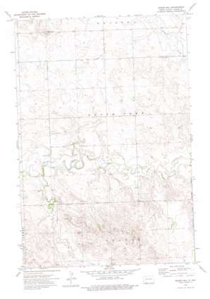 Nason Hill USGS topographic map 46102a1