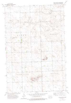 Stony Butte topo map
