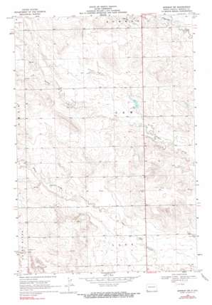 Bowman Sw USGS topographic map 46103a4