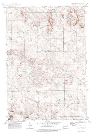 Camel Butte USGS topographic map 46103a6