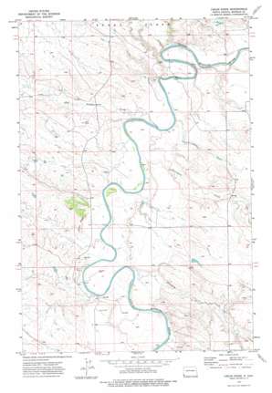 Cedar Ridge USGS topographic map 46103a8