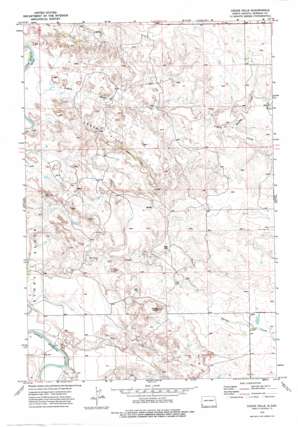 Cedar Hills USGS topographic map 46103b7