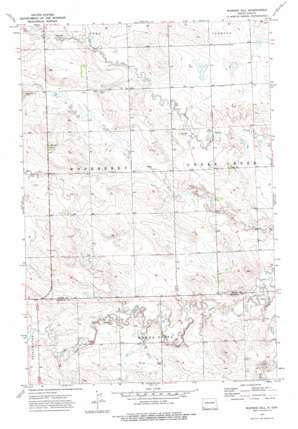 Warnke Hill USGS topographic map 46103c1