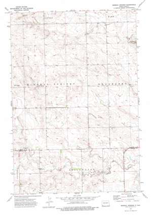 Mineral Springs topo map