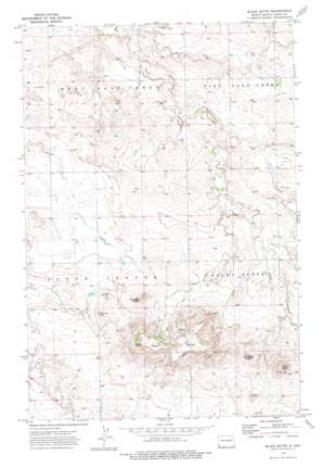 Black Butte topo map