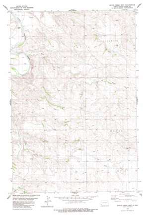 Boyce Creek West USGS topographic map 46103d7