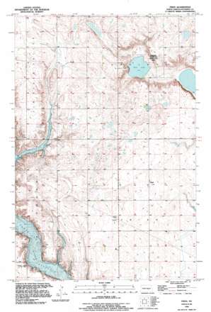Fried topo map