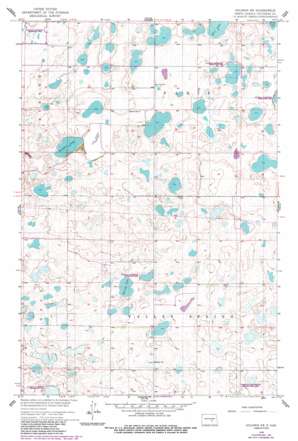 Goldwin SW USGS topographic map 47099a2