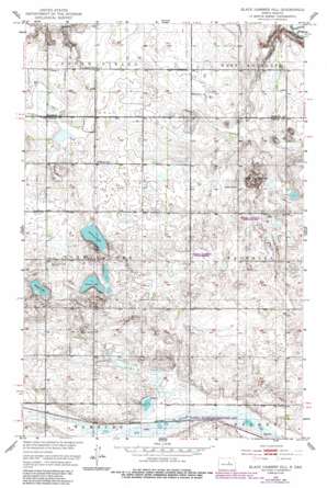 Black Hammer Hill USGS topographic map 47099g4