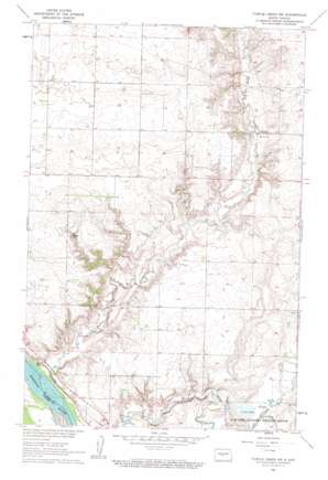Turtle Creek SW USGS topographic map 47100c8