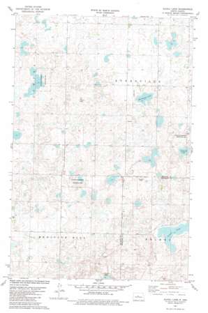 Alkali Lake USGS topographic map 47100f6