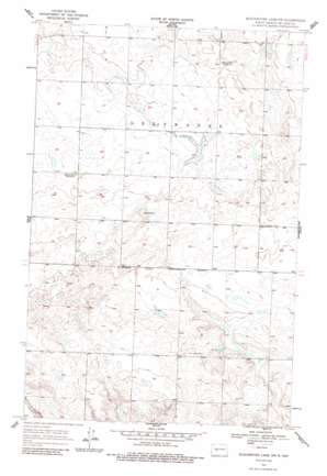 Blackwater Lake Nw USGS topographic map 47101f8