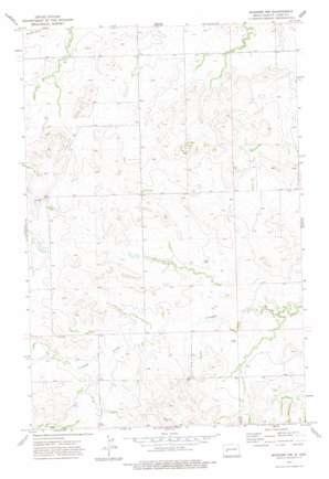 Manning Nw topo map