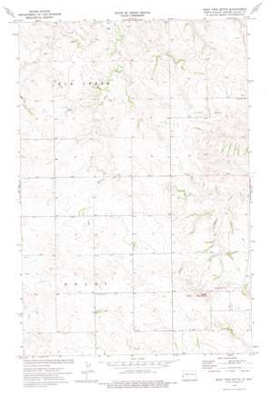 West Twin Butte topo map