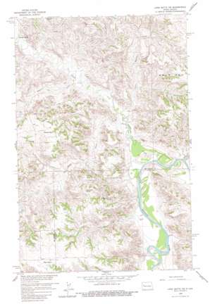 Lone Butte NE USGS topographic map 47103f1