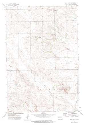 Bear Butte USGS topographic map 47103f5