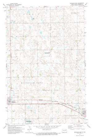 Michigan East USGS topographic map 48098a1