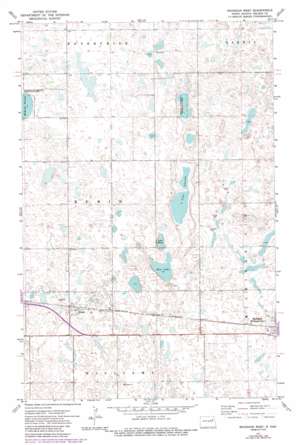 Michigan West topo map
