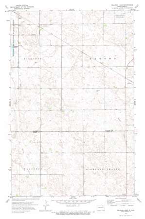 Billings Lake USGS topographic map 48098e4