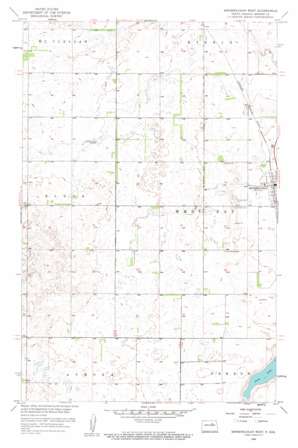 Minnewaukan West USGS topographic map 48099a3