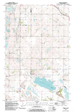 Tilden USGS topographic map 48099b2