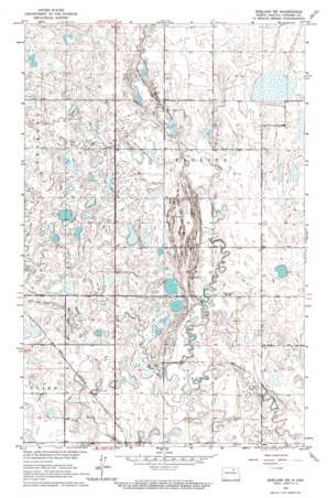 Egeland Sw USGS topographic map 48099e2