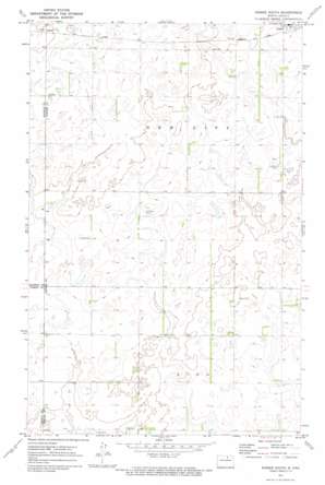 Bisbee South topo map
