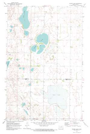 Island Lake USGS topographic map 48099e6