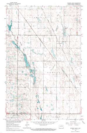 Snyder Lake USGS topographic map 48099f2