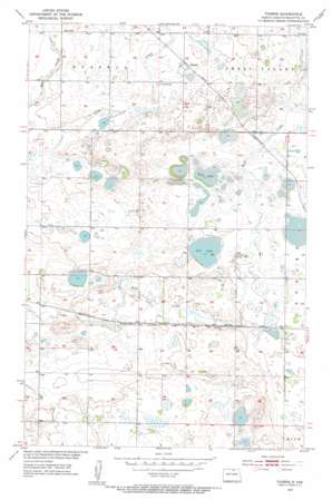 Thorne USGS topographic map 48099f8