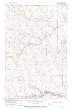 Hansboro USGS topographic map 48099h4