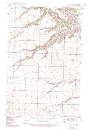 Minot Nw topo map
